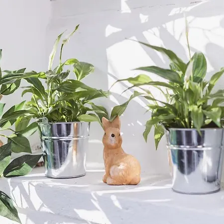 Appartement Art Myslym Shyri