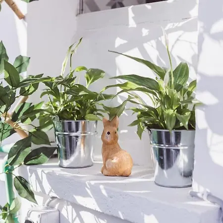 Appartement Art Myslym Shyri Tirana