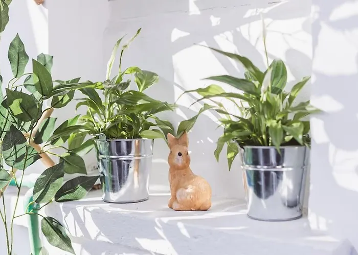 公寓 Art Myslym Shyri