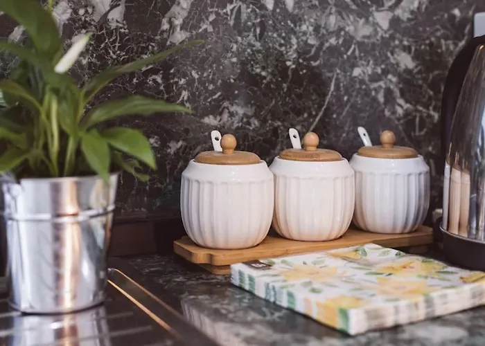 Art Myslym Shyri 地拉那