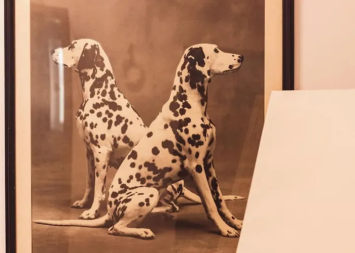 Art Myslym Shyri * 地拉那