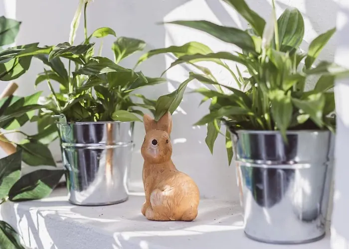 公寓 Art Myslym Shyri *