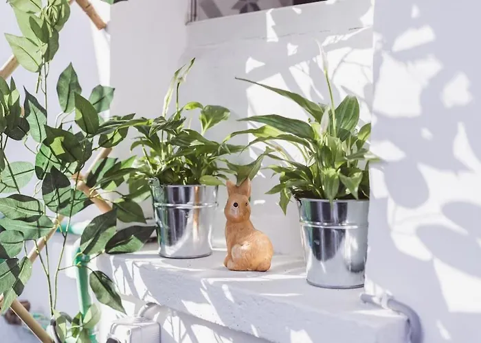 公寓 Art Myslym Shyri 地拉那